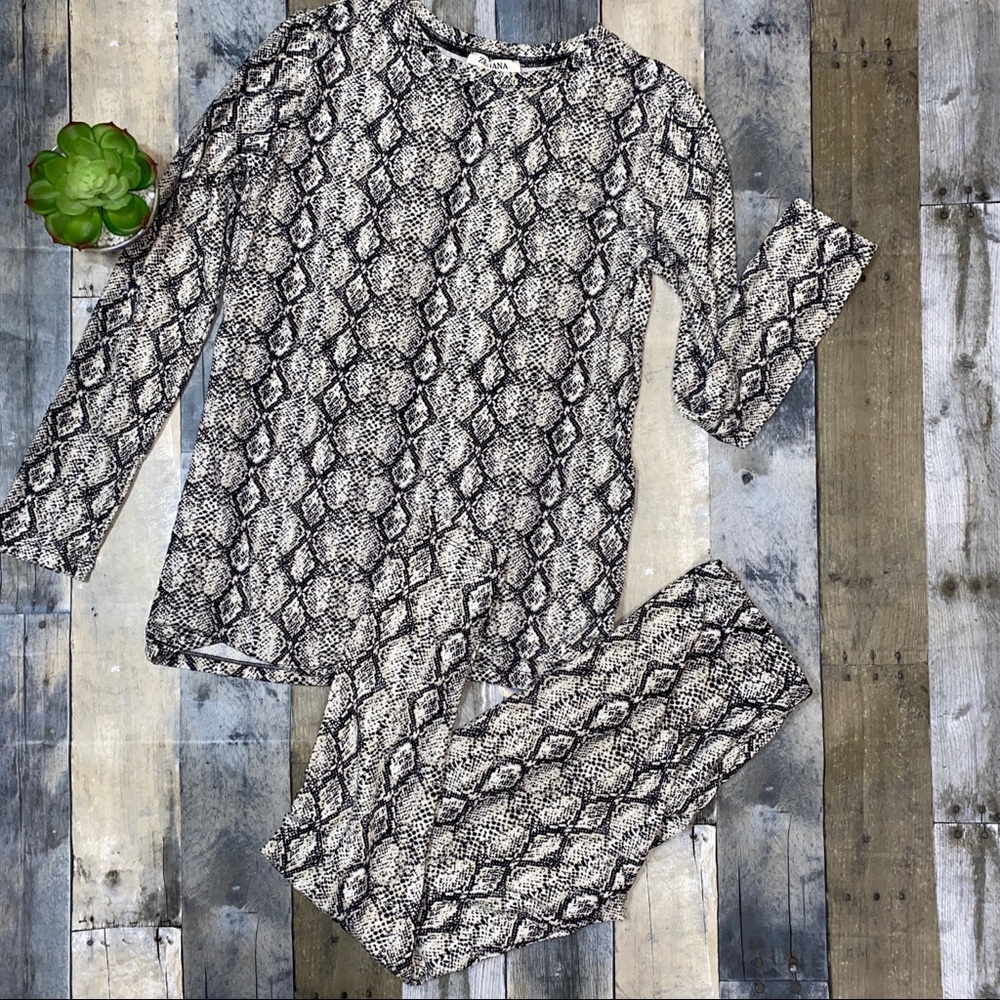 NWOT Two-Piece Lounging Set - Long Sleeve Top with Matching Pants - Animal Print